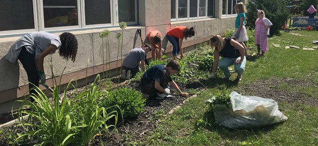 school gardening
